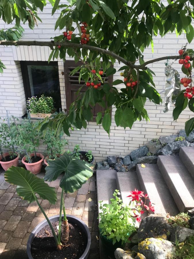 Ferienwohnung Am Weiltalradweg Weinbach Buitenkant foto